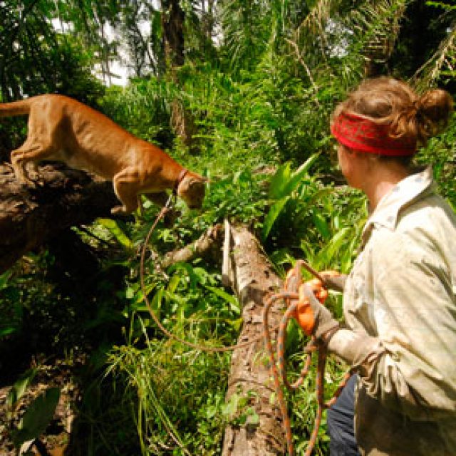 Bolivia Conservation Gap Year